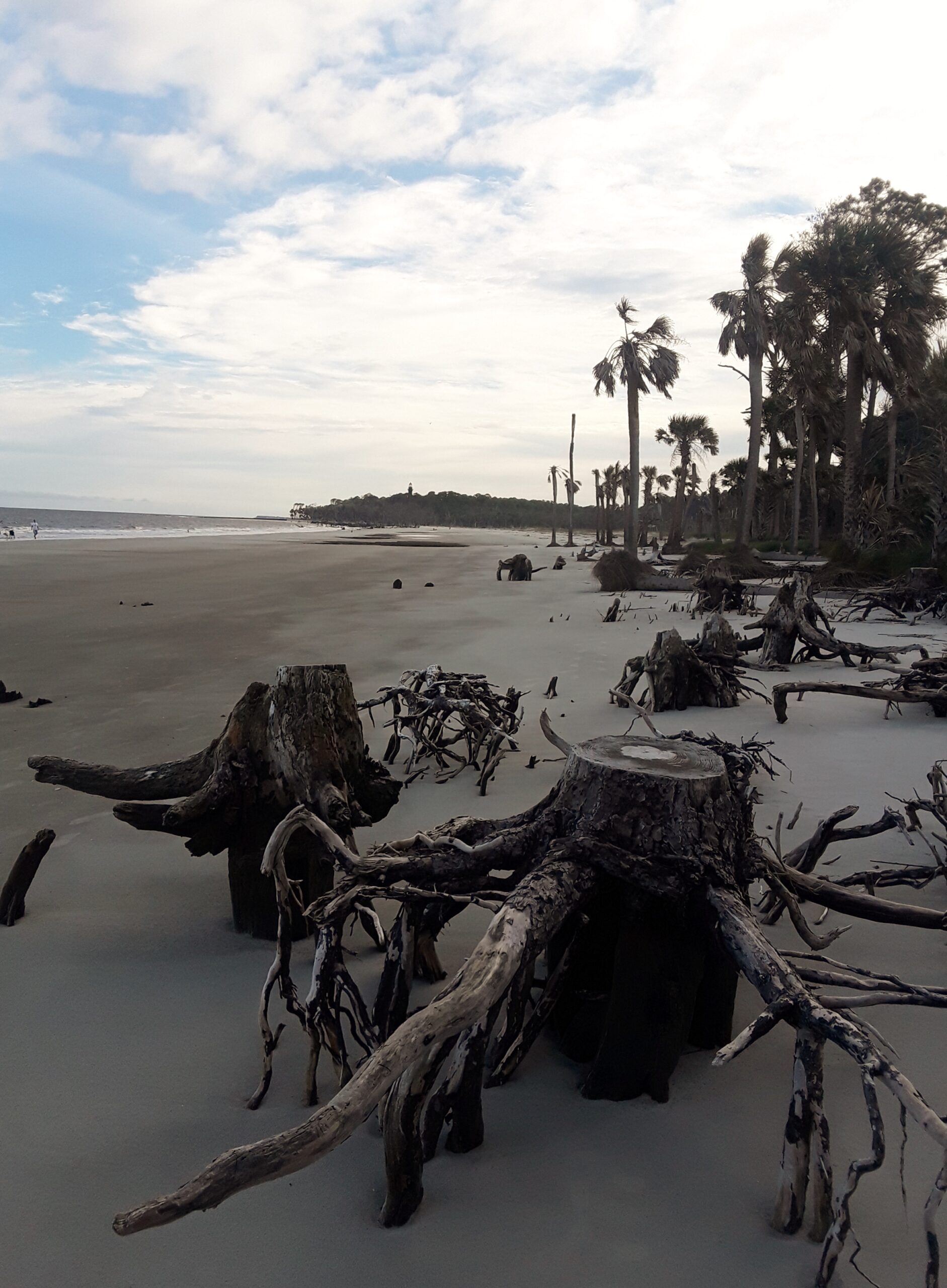 Hunting Island State Park, SC - There's Sugar In My Tea!