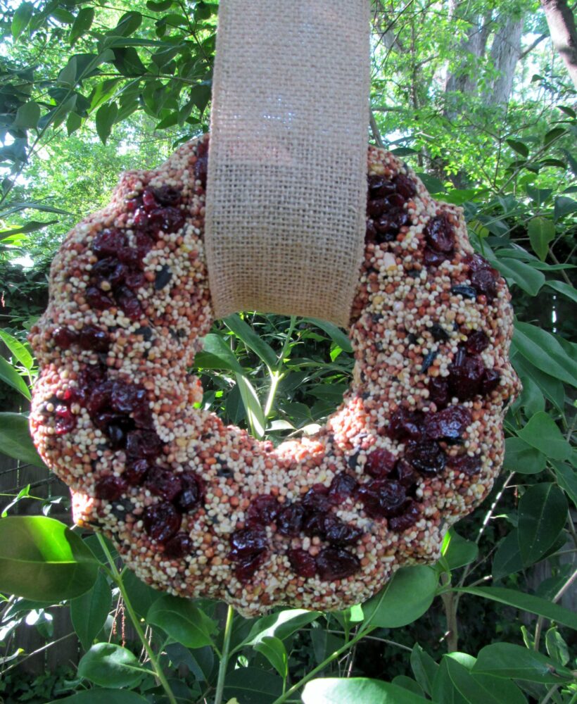 How to Make a Bird Feeder Wreath, There's Sugar in my Tea, Charlotte Nc Lifestyle DIY Blog