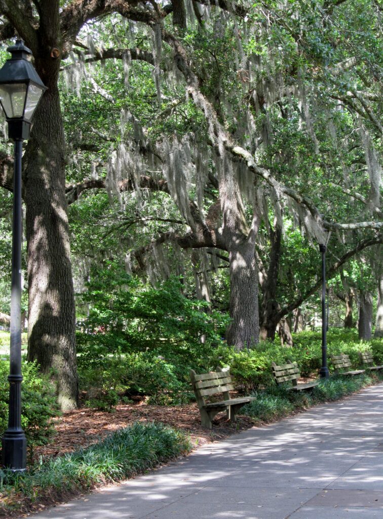 Visit Savannah's Forsyth Park, there's sugar in my tea, charlotte nc lifestyle bloggers, nc blogs