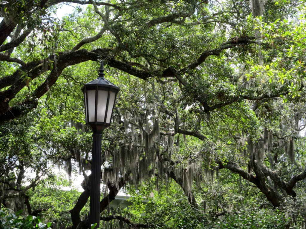 Visit Savannah's Forsyth Park, there's sugar in my tea, charlotte nc lifestyle bloggers, nc blogs