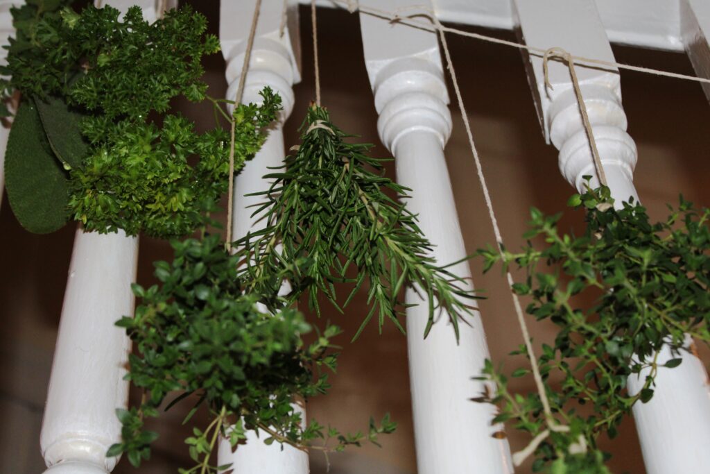 how to dry herbs, there's sugar in my tea, charlotte nc blogs, charlotte nc lifestyle blogs
