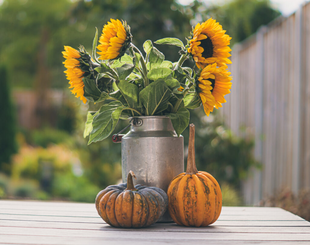 affordable fall home decor, there's sugar in my tea, charlotte nc blogger