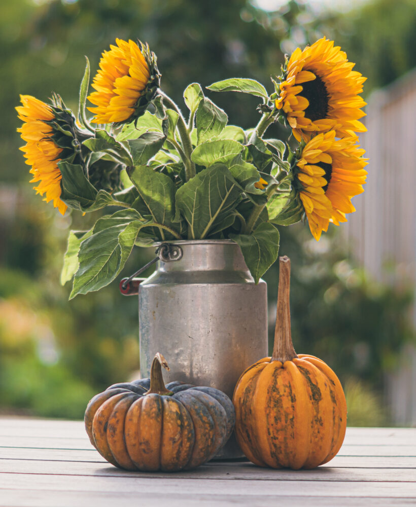 affordable fall home decor, there's sugar in my tea, charlotte nc blogger